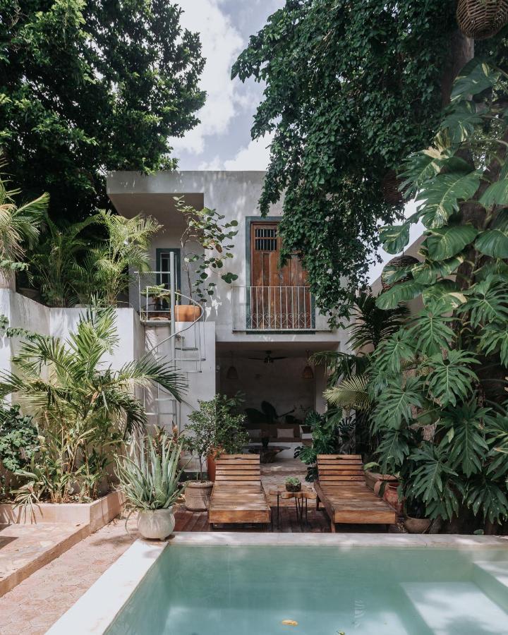 Casa Mezcla - Bed and breakfast *