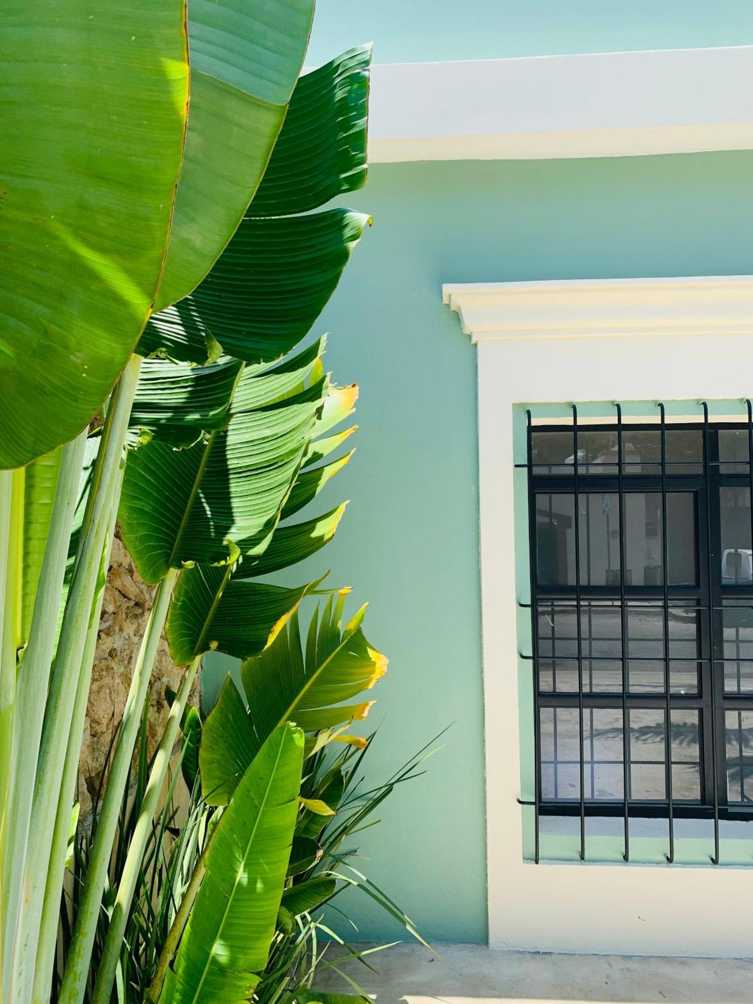 Casa Magu *