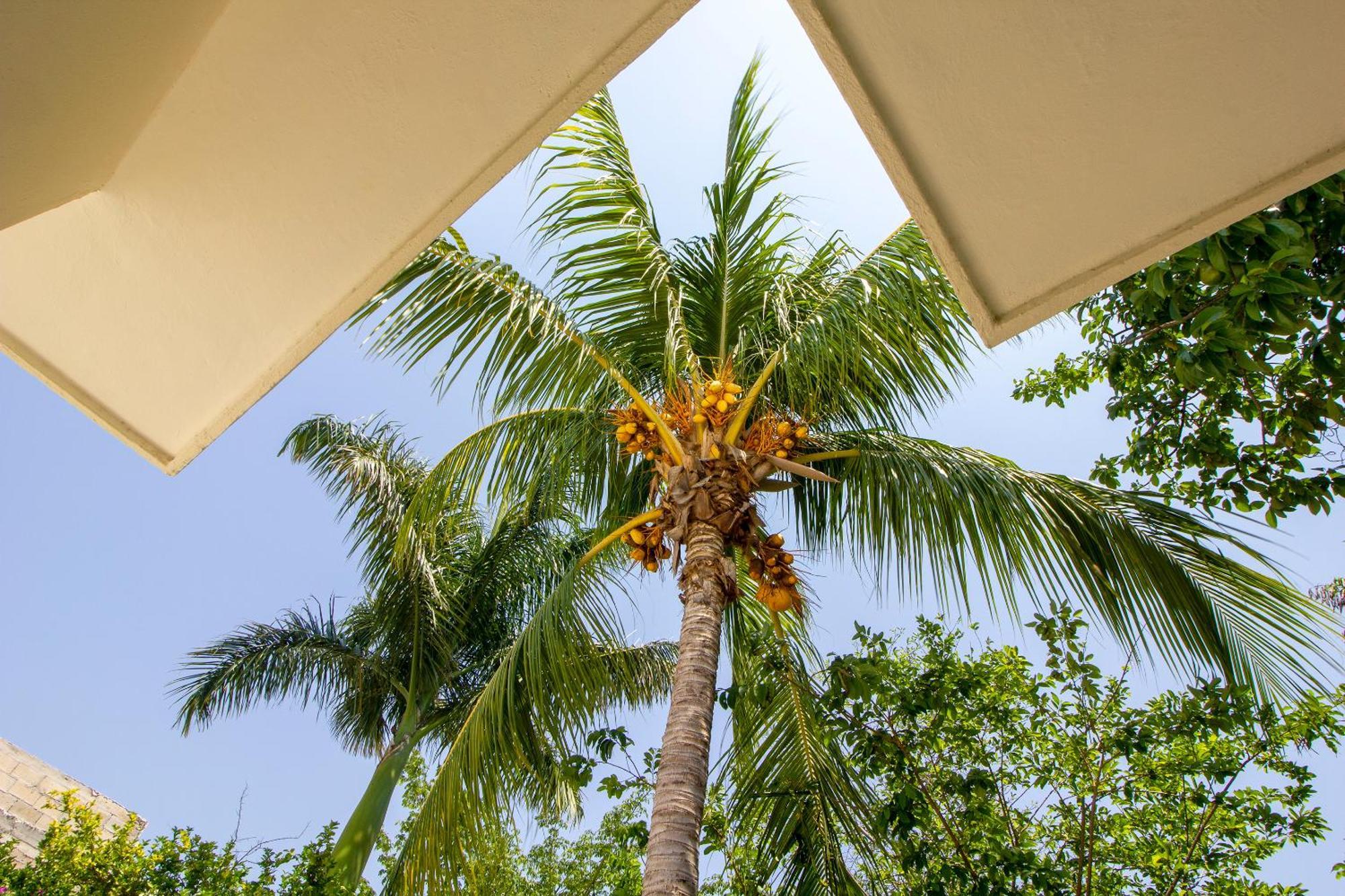Bed and breakfast Casa Magu *