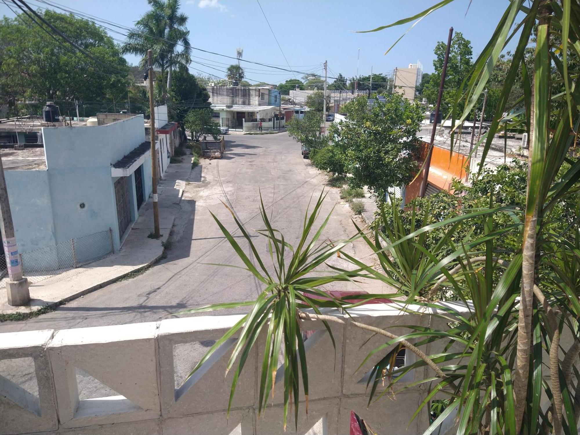 Casa Narcisa Apartamento *