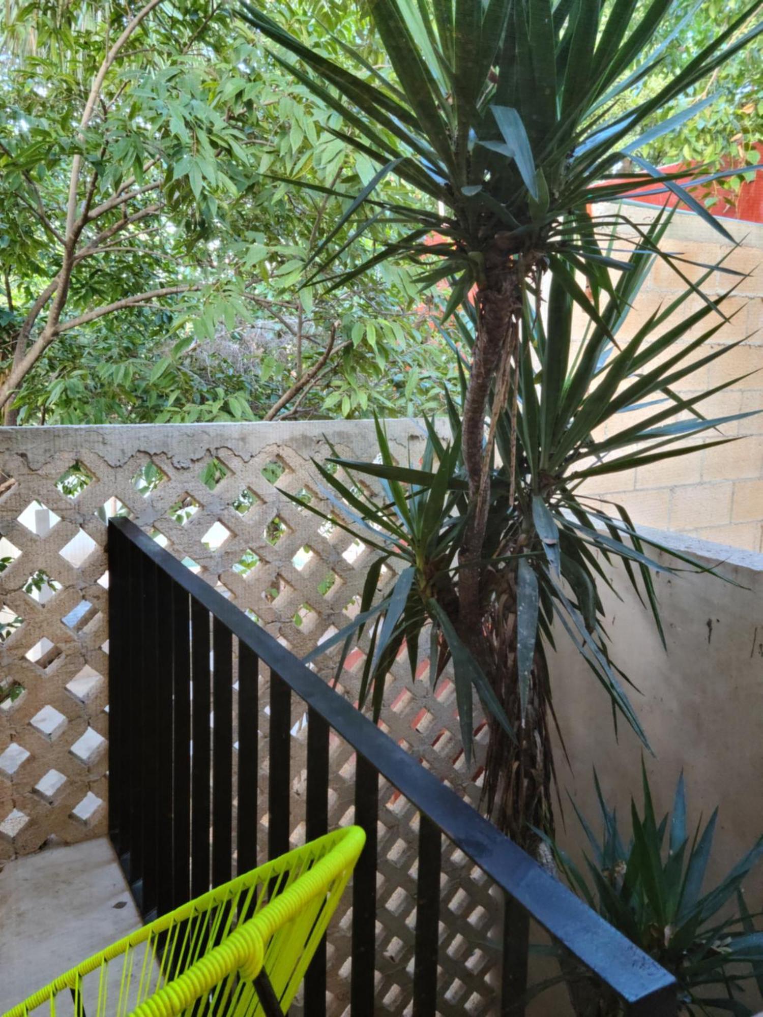 Casa Ramona Mérida