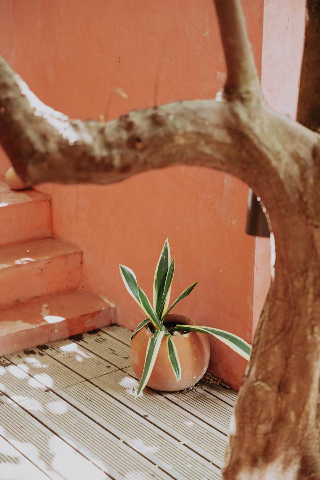 Hotel Casa Chaka Boutique *