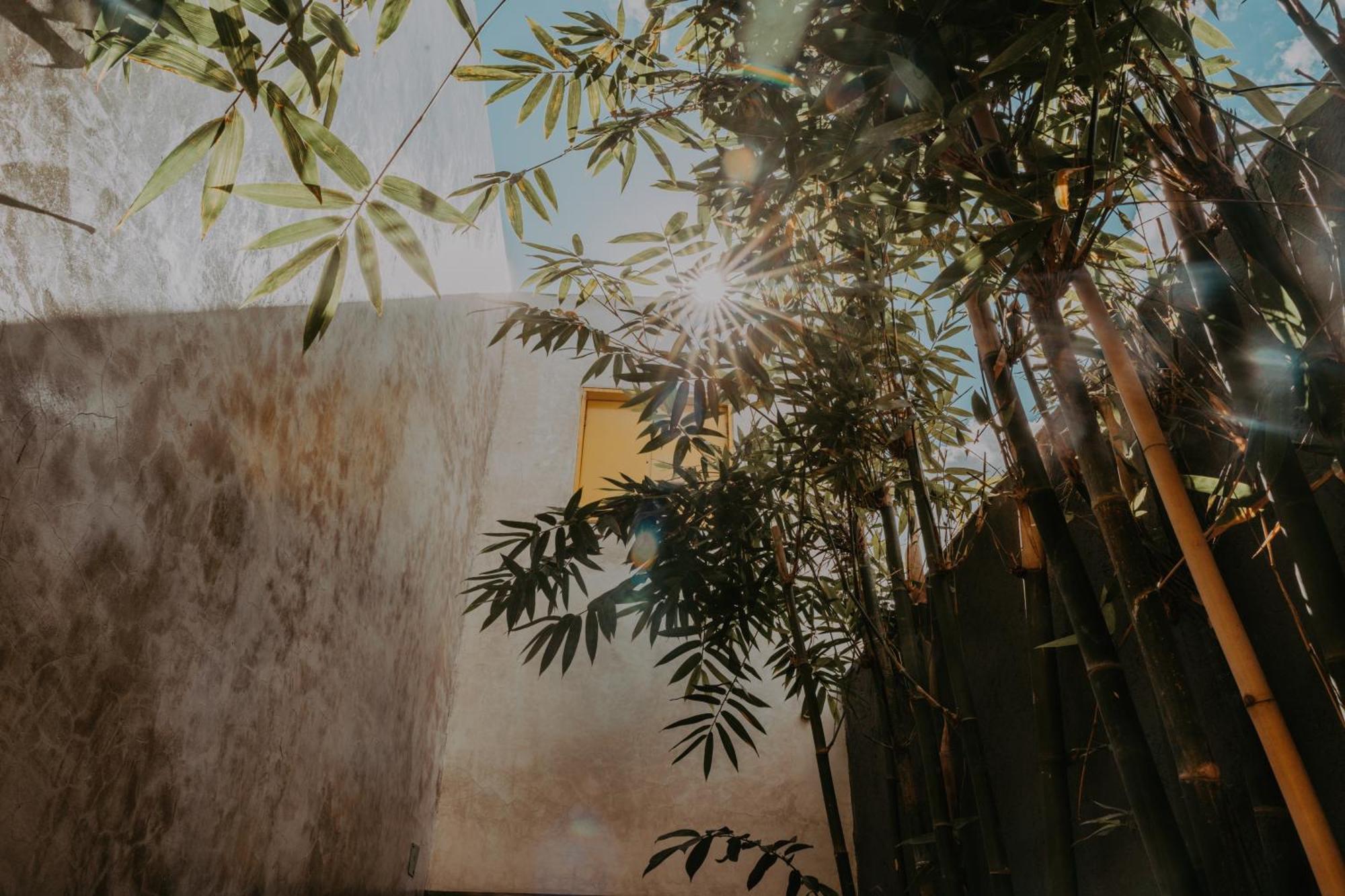 Casa Chaka Boutique *