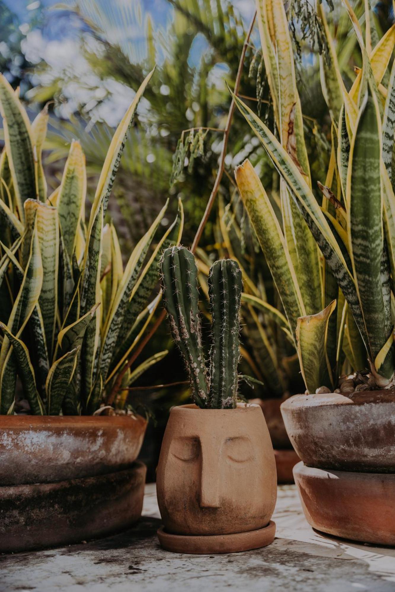 Casa Chaka Boutique Hotel Merida