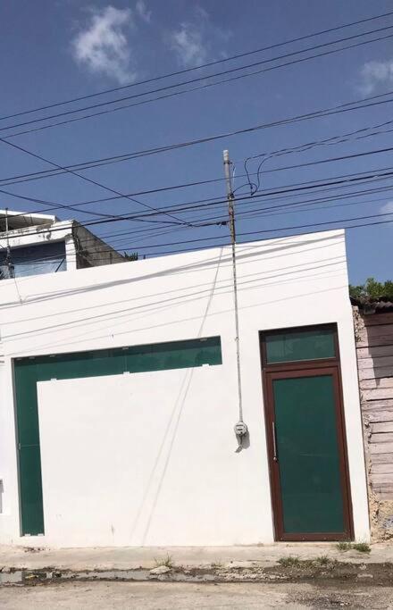 Nido Colibri Mérida