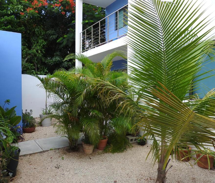 Apartamento Estudio En “casa Livia” Con Piscina Y Jardín. Mérida
