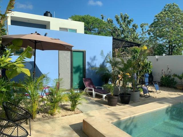 Estudio En “casa Livia” Con Piscina Y Jardín.