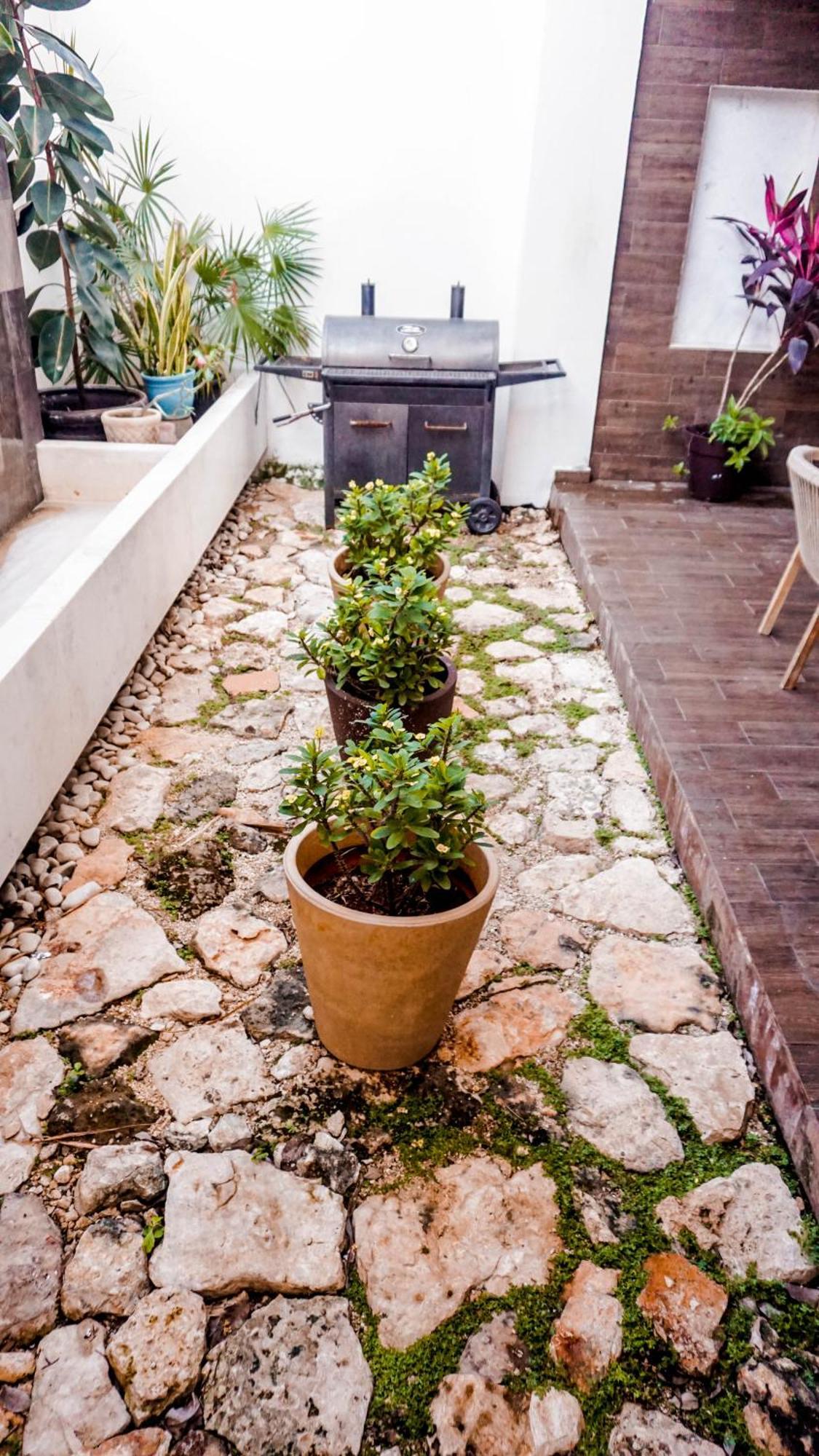 Casa Montejo Сasa de vacaciones