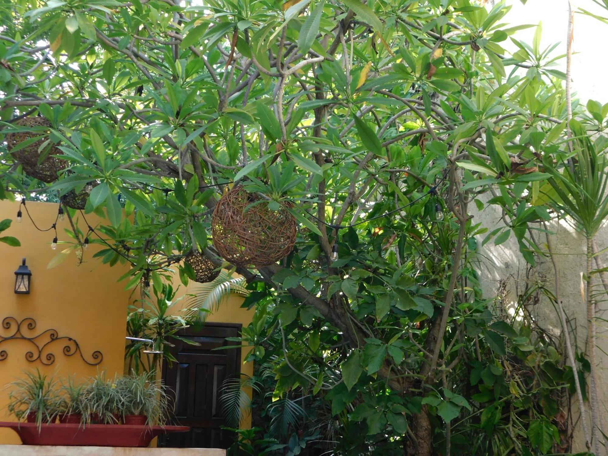 Boutique Casa Flor De Mayo Mérida