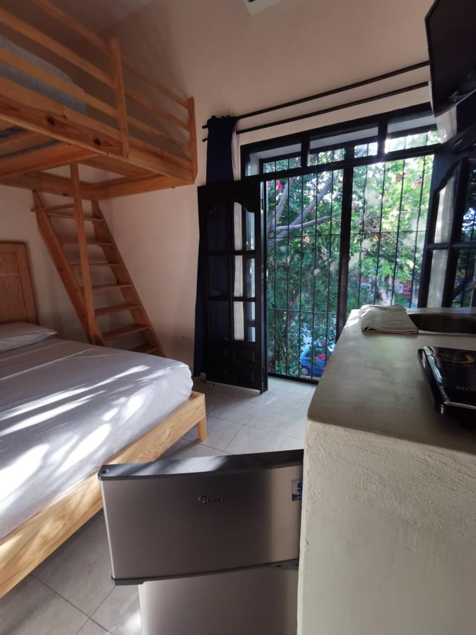 Hotel Nido Colibri - Private And Dorms In Remate De Paseo Montejo *