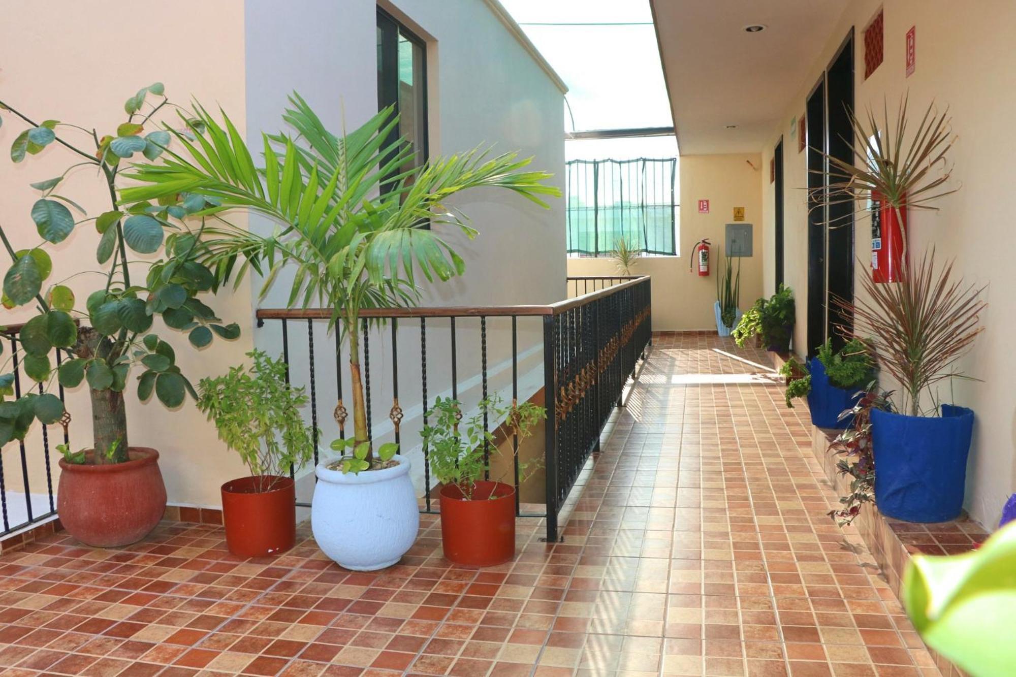 Casa Pellegrin