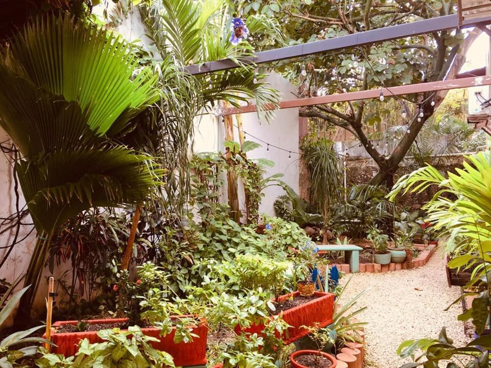 Casa Pellegrin Hotel Mérida