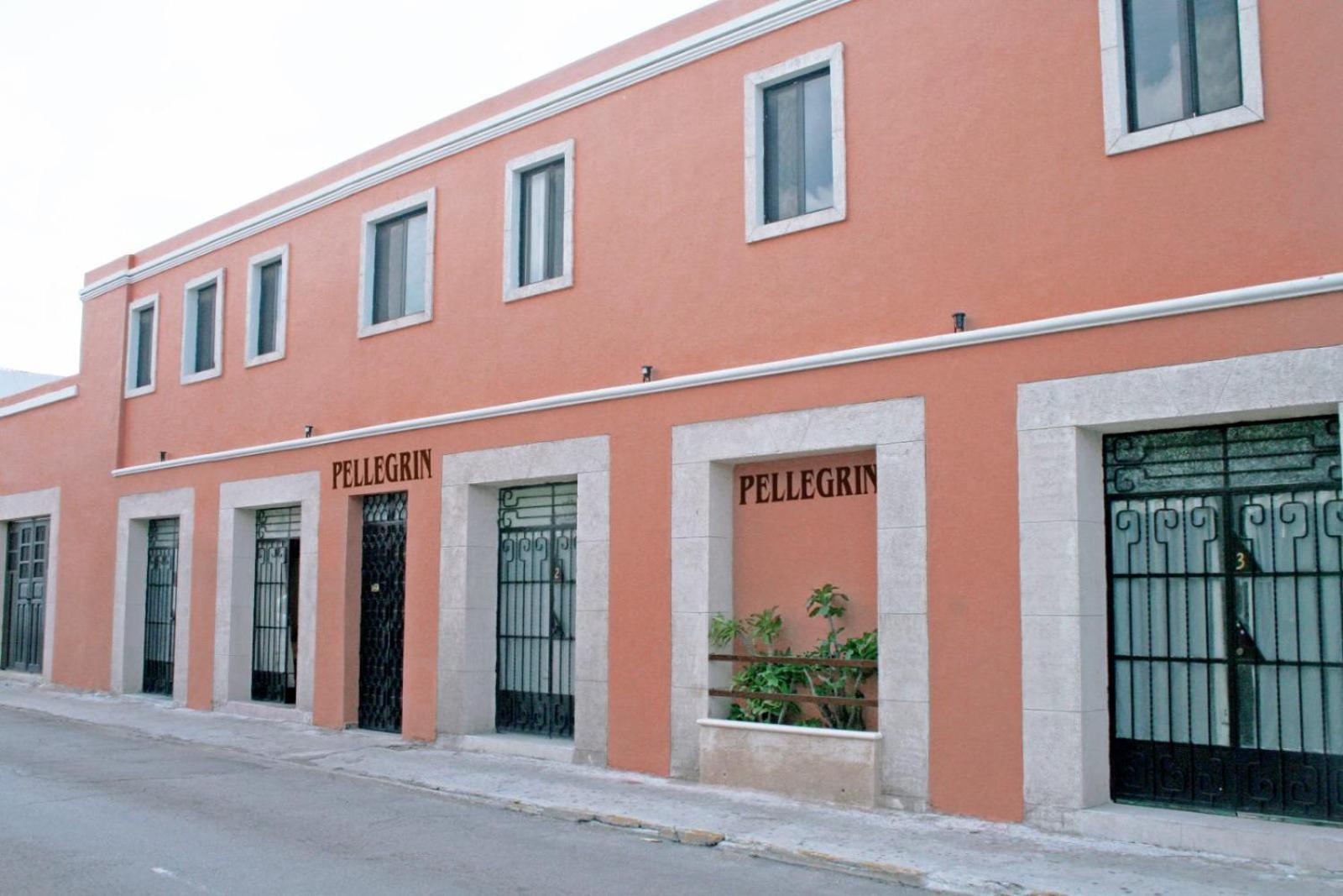 Hotel Casa Pellegrin Mérida