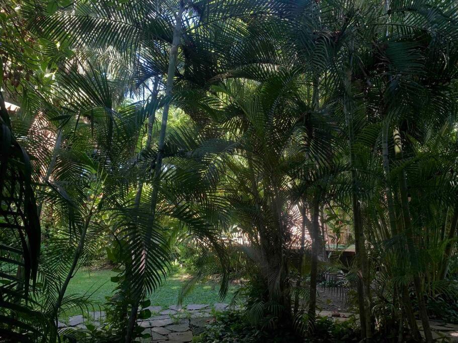 Casa Paraiso De Las Tortugas Yucatan Centro Villa *