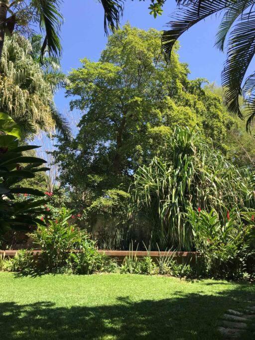 Villa Casa Paraiso De Las Tortugas Yucatan Centro Mérida