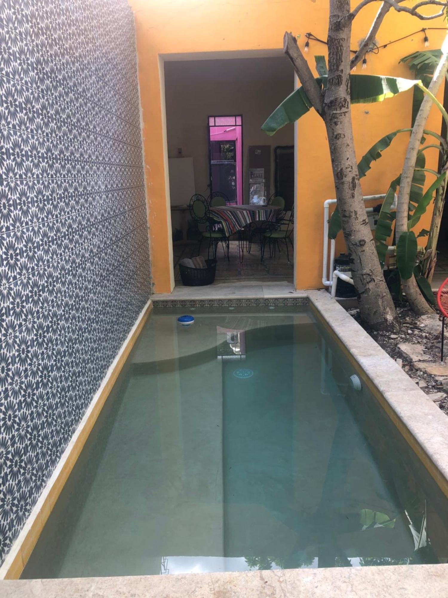 Candita, A Unos Pasos Del Paseo Montejo