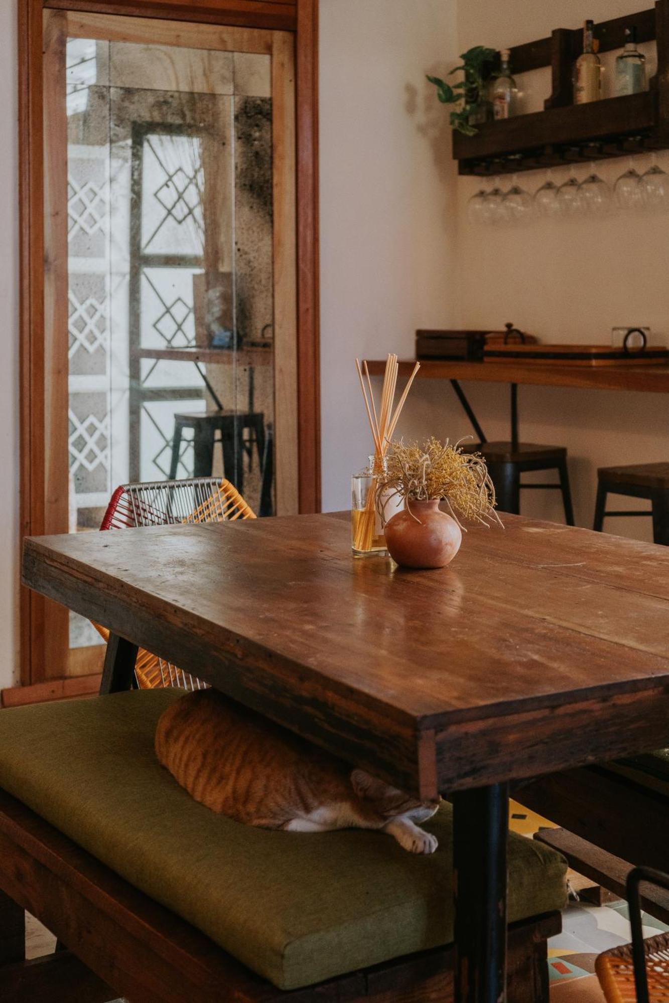 Casa Mezcla -