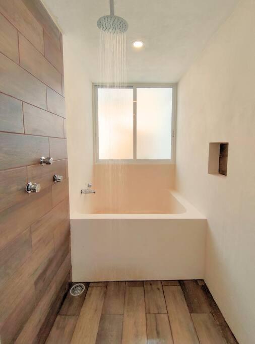 Apartamento Casa Colibri Con Alberca En El Centro *