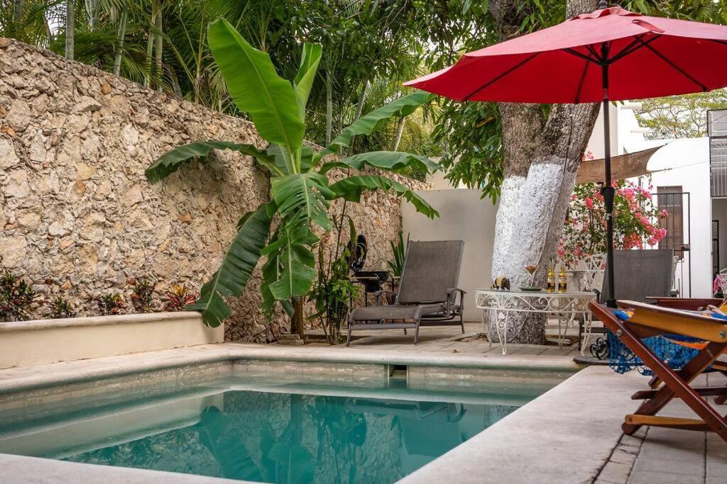 Casa Armadillo, Colonial House With Pool Сasa de vacaciones