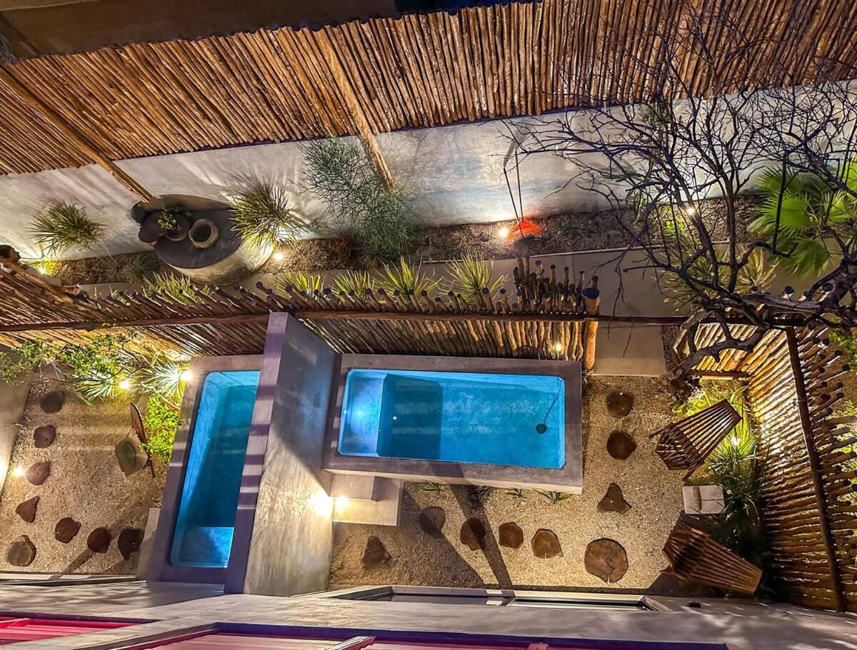 Bokoba Disfruta De Paraiso En El Centro Inn Merida