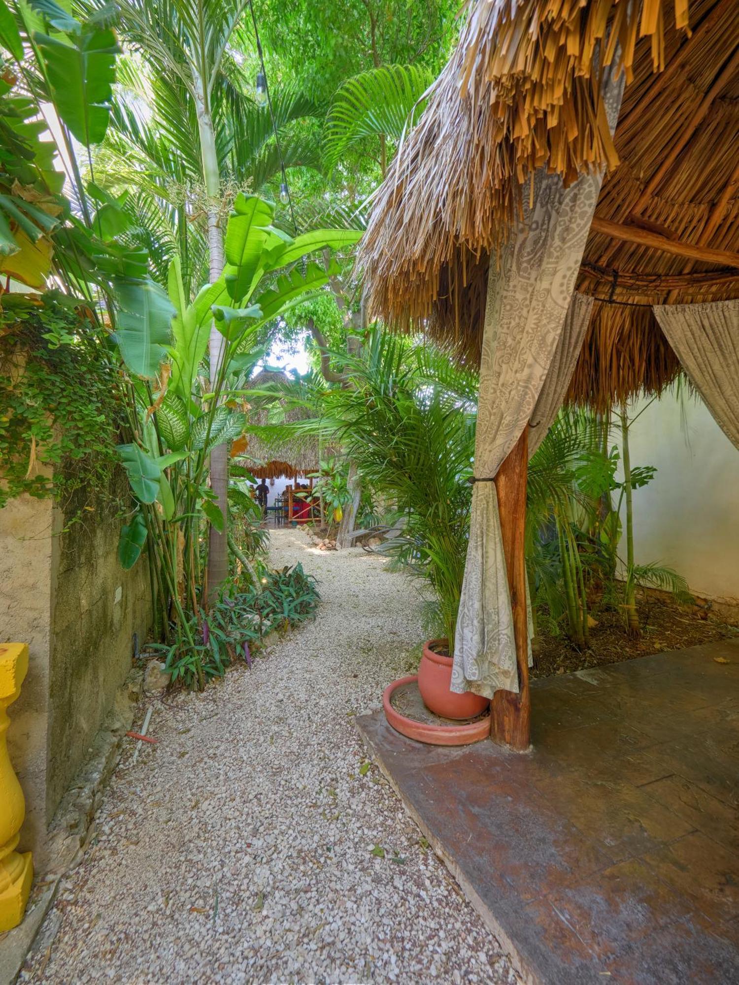 Casa Del Maya Merida