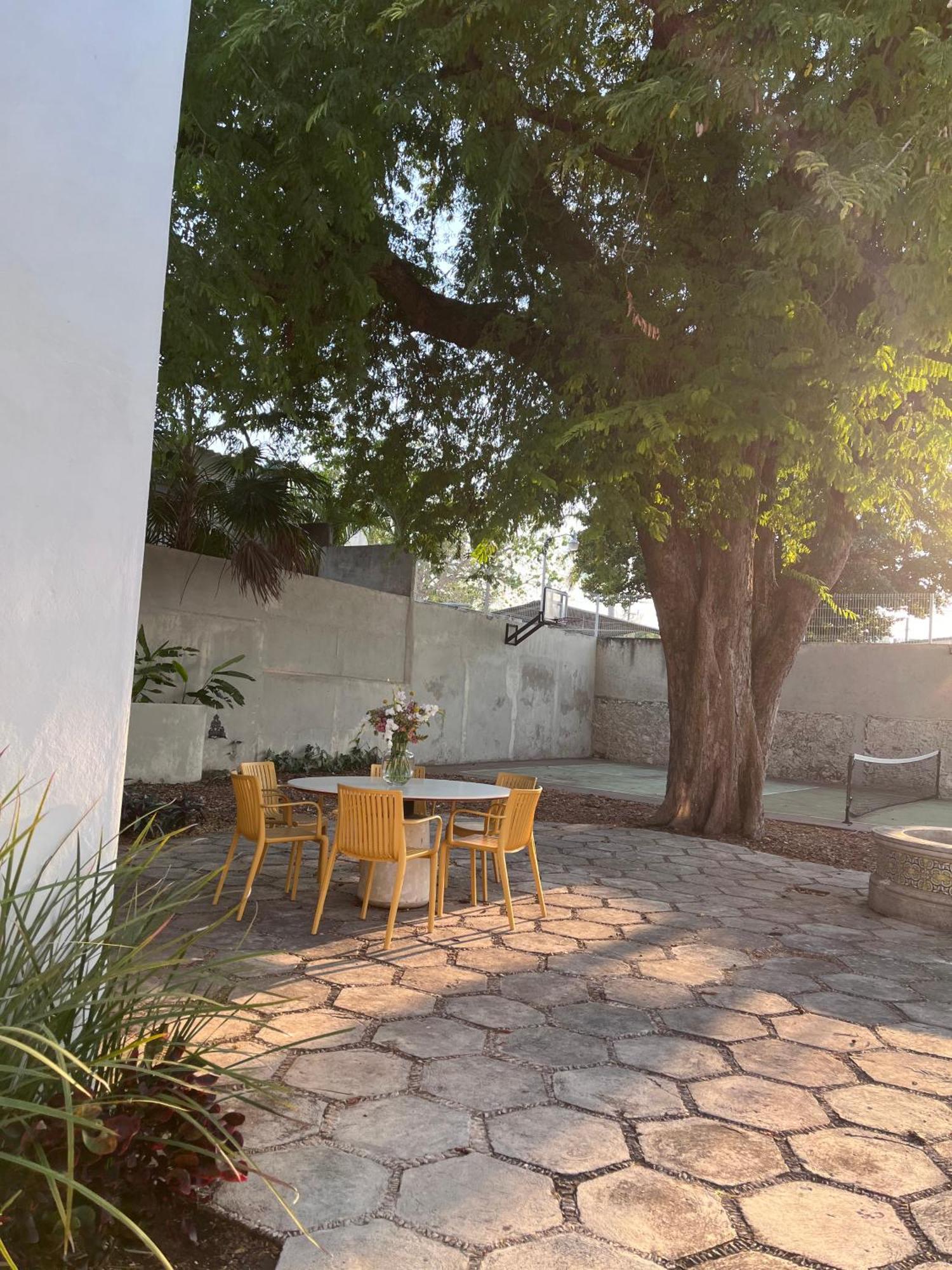 Consentido Tamarindo Pensión Mérida