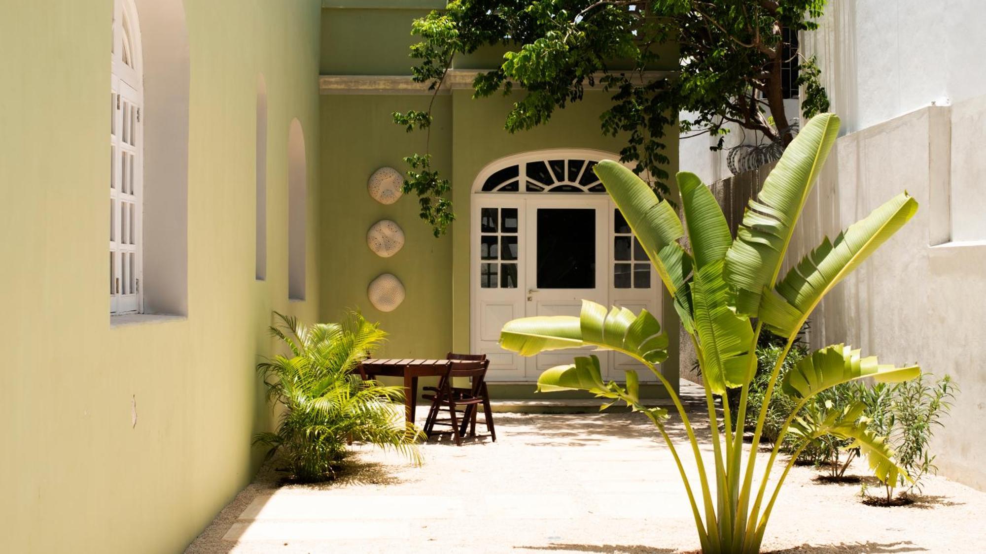 Consentido Tamarindo Pensión Mérida