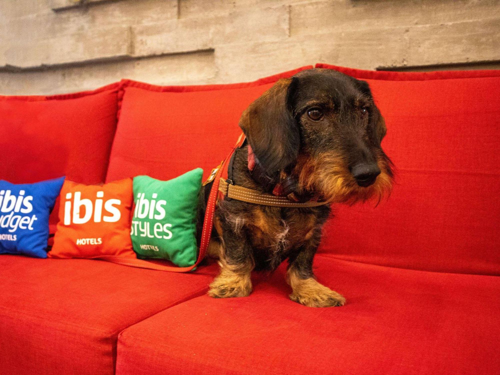 Ibis Hotel