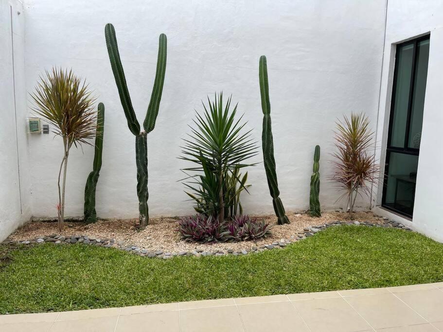 Villa Great House Up To 9, Close To Galerias Merida!