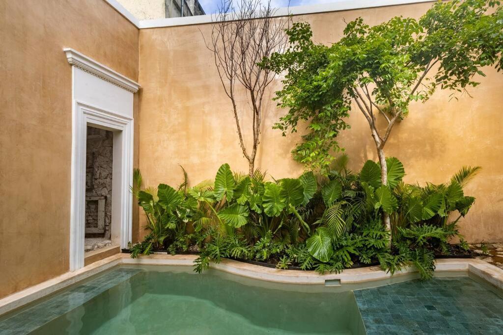 Casa Clementina Luxe Rustic Haven 5 Star Location Сasa de vacaciones
