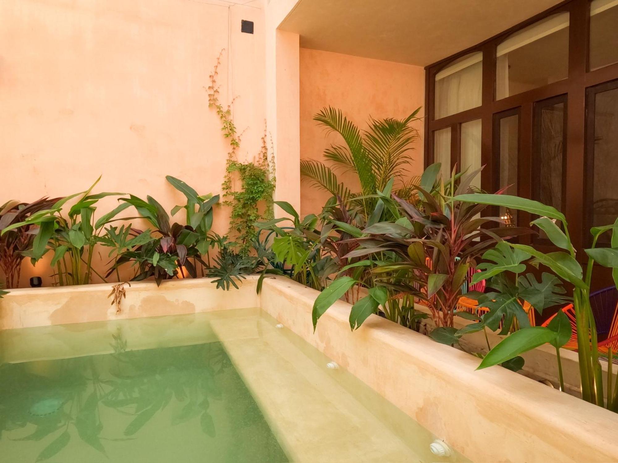 Kuka Y Milpa Bed and breakfast *