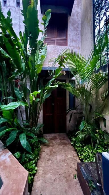 Centro, Sumptuous House Dona Guiomar! * Merida