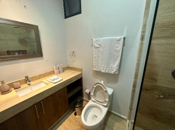 Departamento De Lujo, Centrico En Apartment *