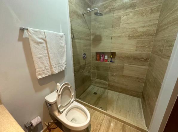 Departamento De Lujo, Centrico En Apartment *