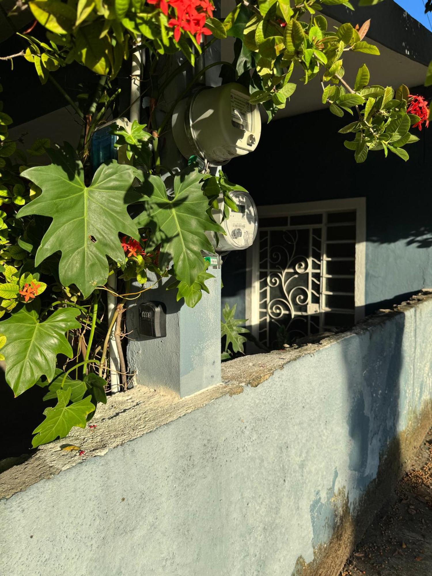 Casa Mango Confort Mérida