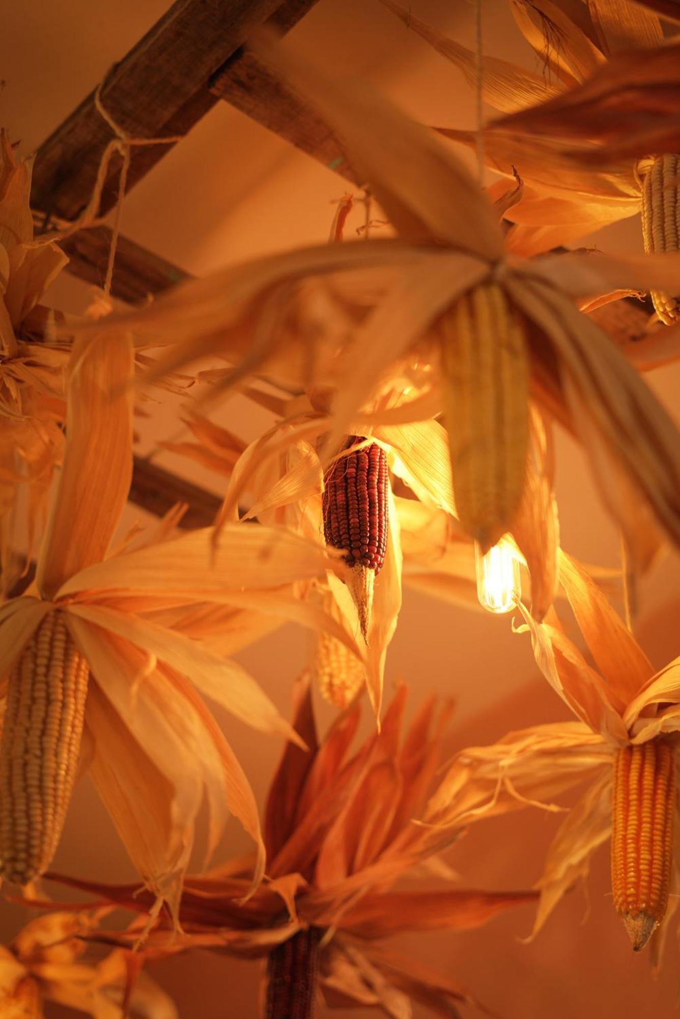 Bed & Breakfast Kuka Y Milpa Merida