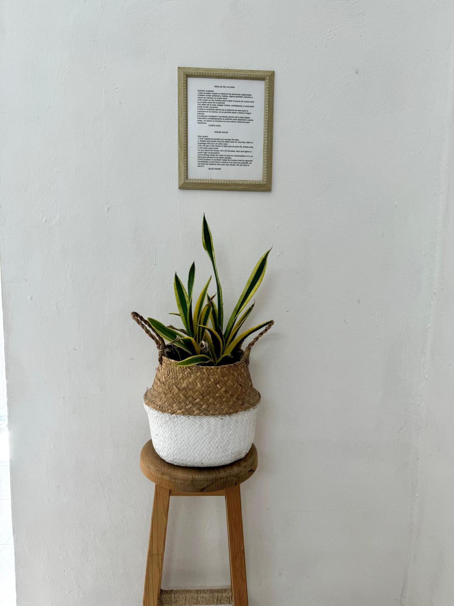 Casita Azul Colonial En El Centro De Merida. * Mérida