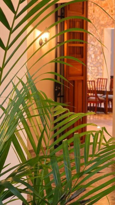 Casa Naeab Holistic Concept Centro De Holiday home Merida