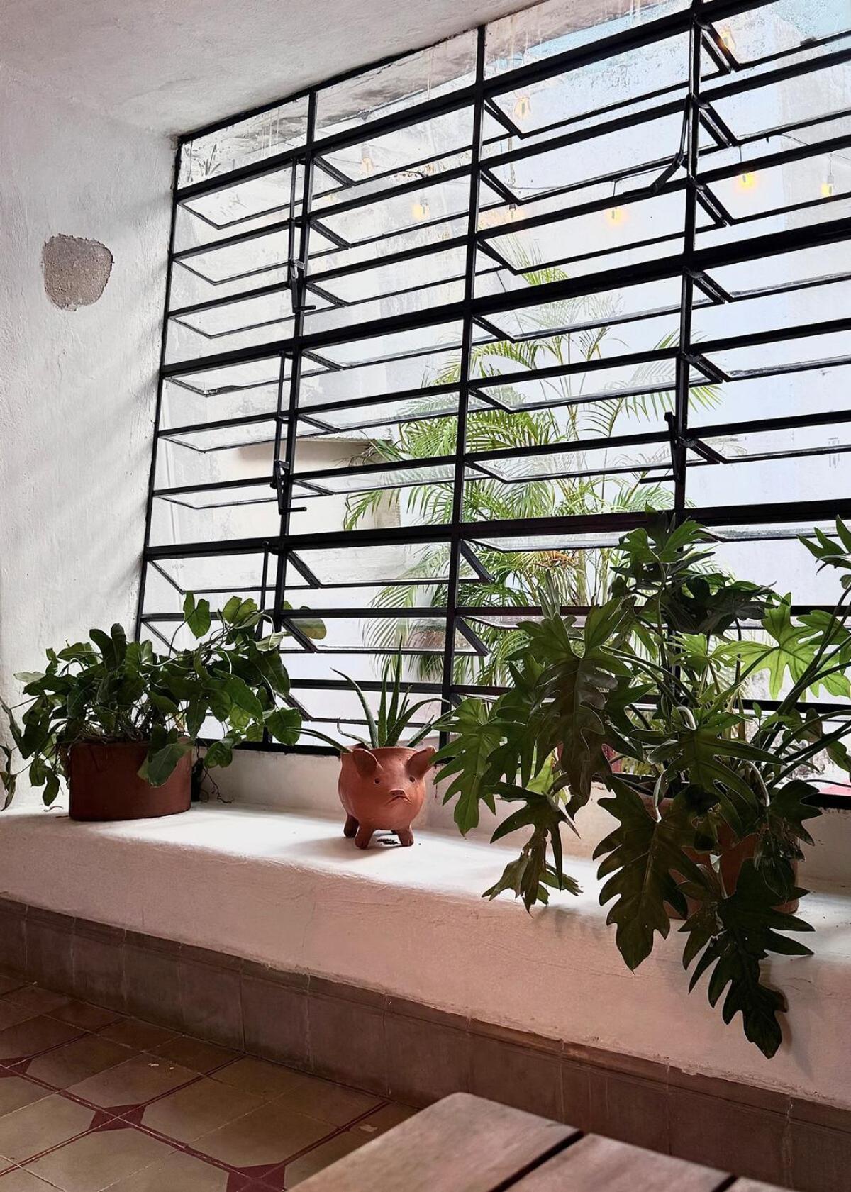 Casa Alazan Apartment