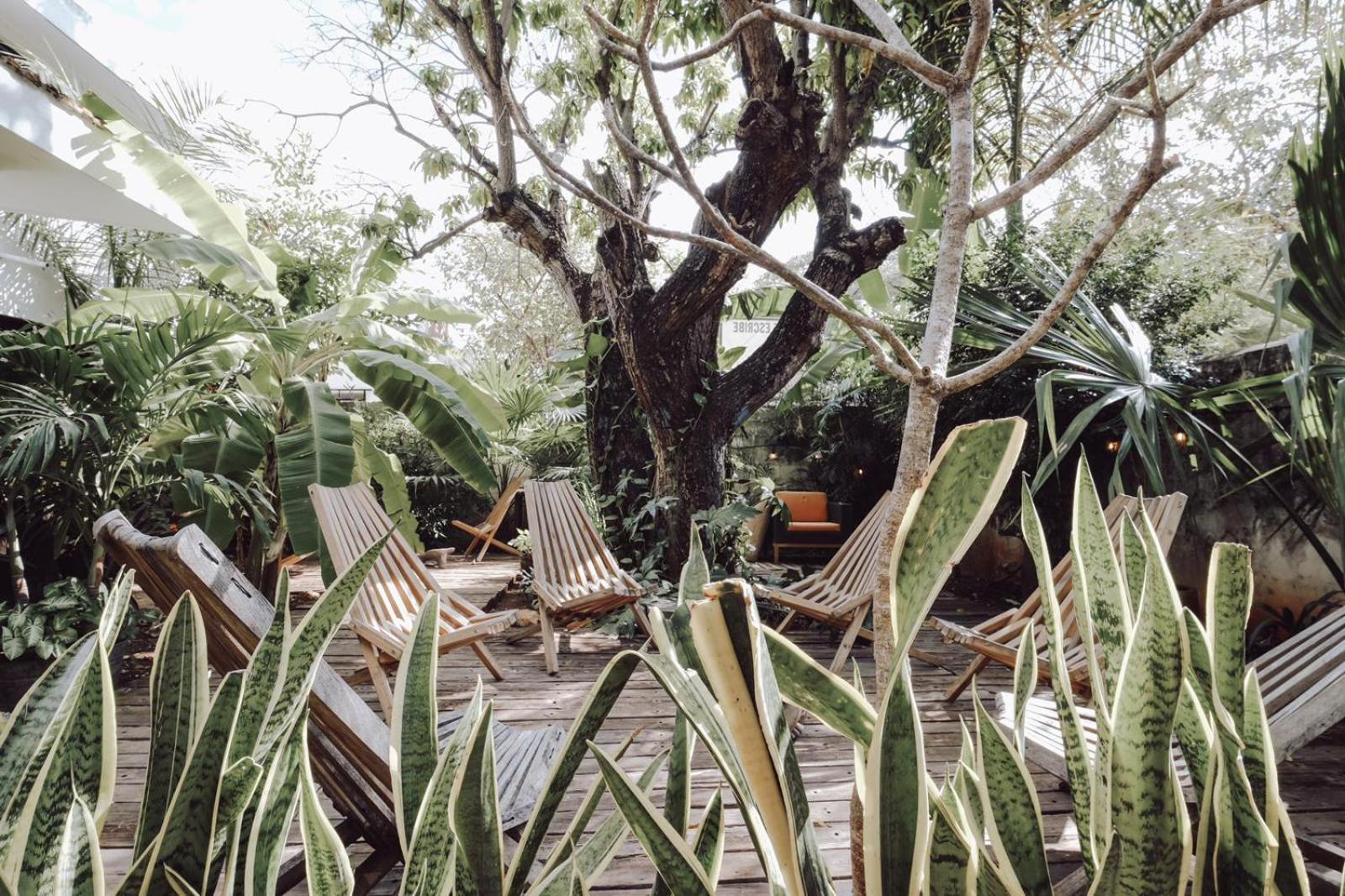Bed and breakfast Boutique Kaa Mérida