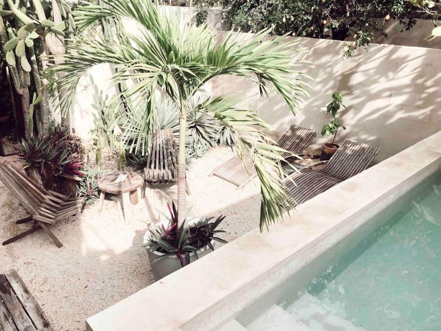 Bed and breakfast Boutique Kaa