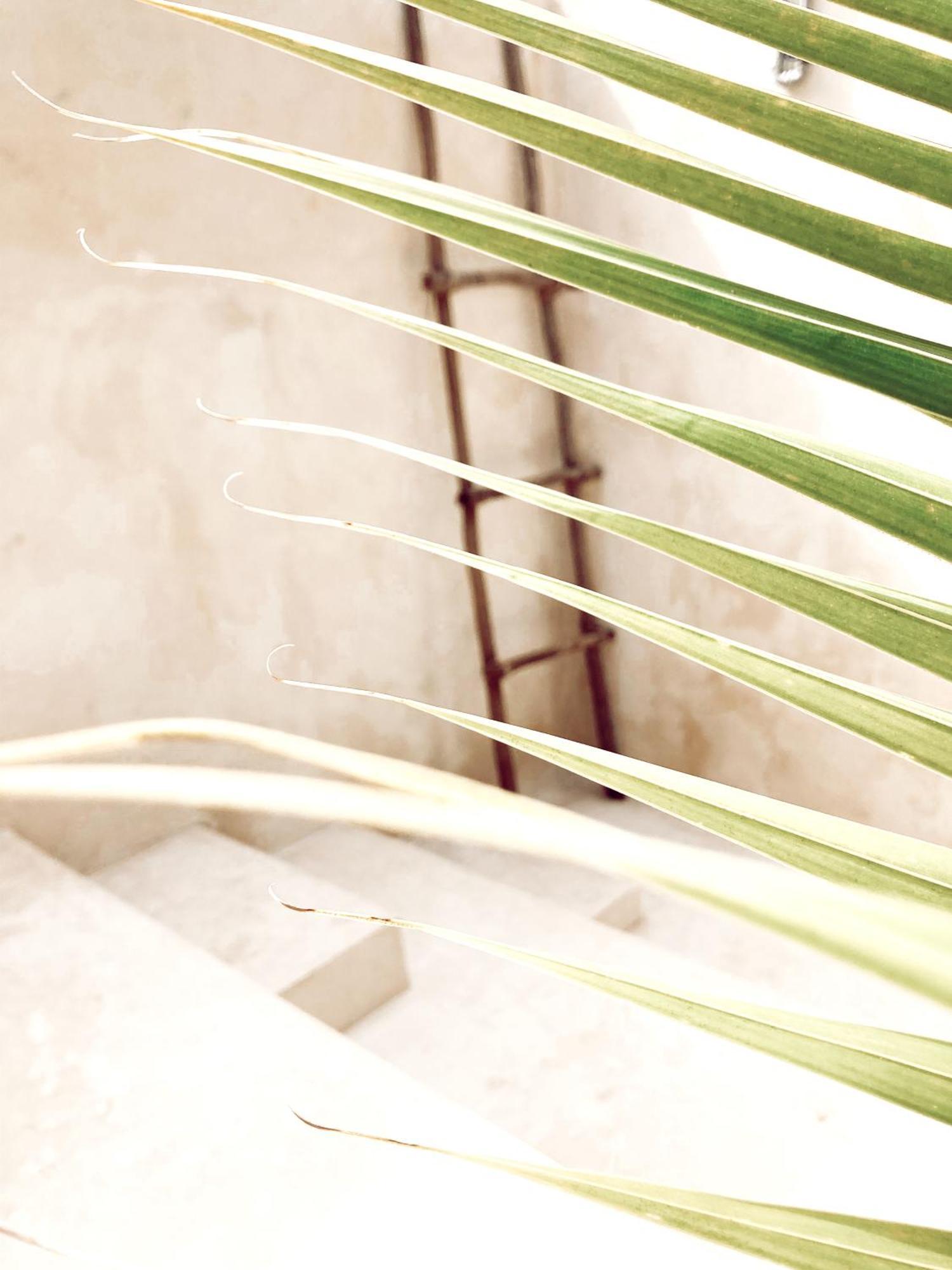 Bed and breakfast Boutique Kaa