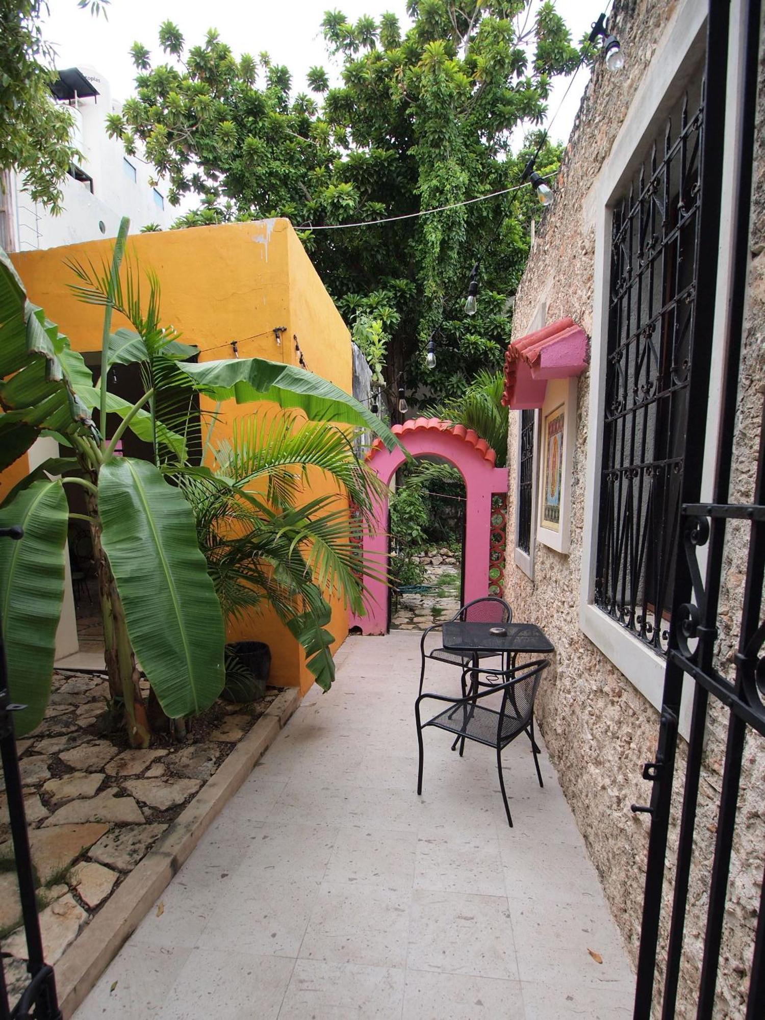 Candita, A Unos Pasos Del Paseo Montejo
