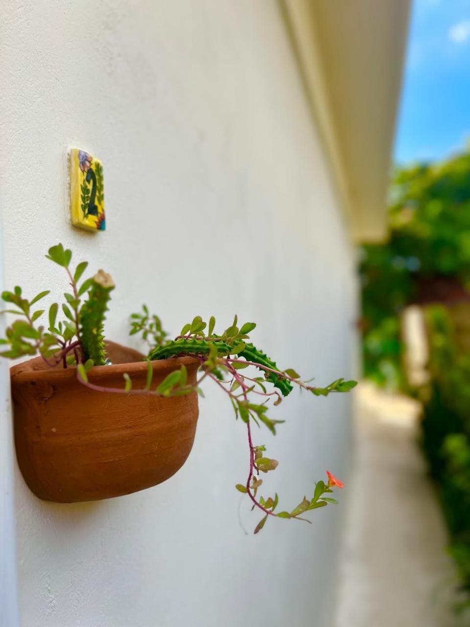 Сasa de vacaciones Casa En El Centro De Merida, 5 Y 3 Banos, Ideal Grupos *