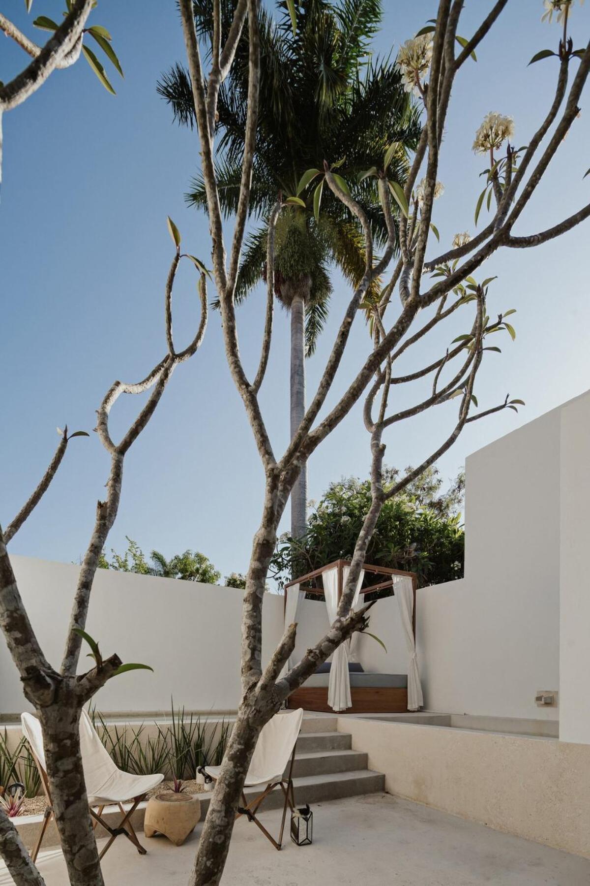 Holiday home Casa Meraki - Paseo De Montejo