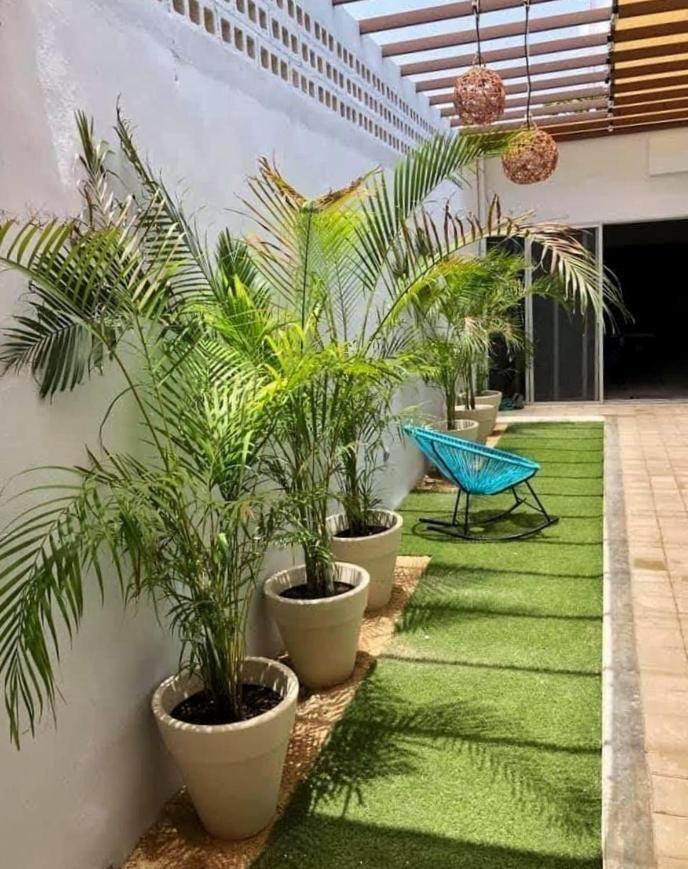 Casa Amikoo