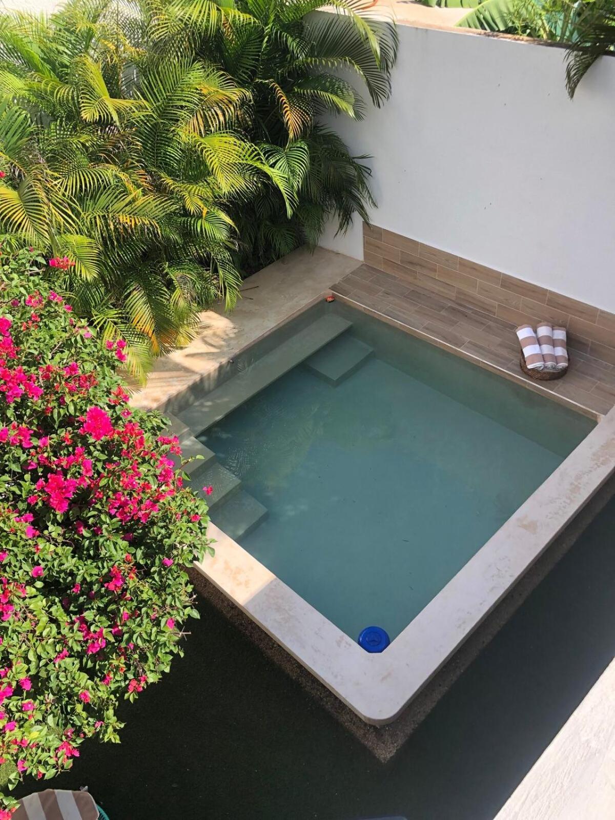 Casa Amikoo