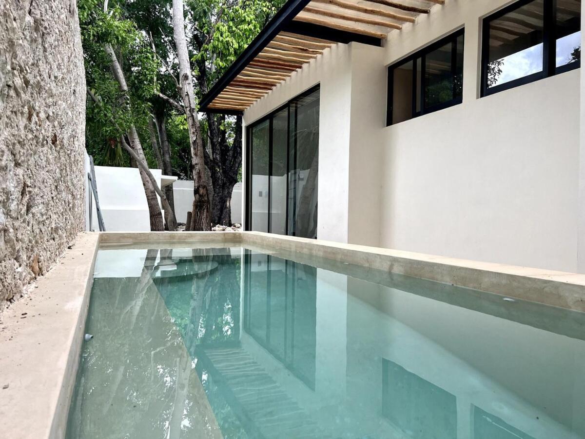Villa Lux In The Center Of Merida, Swimming Pool