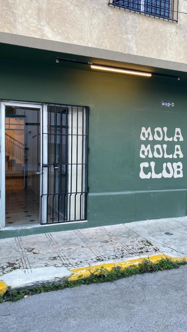 Apartamento Mola Mola