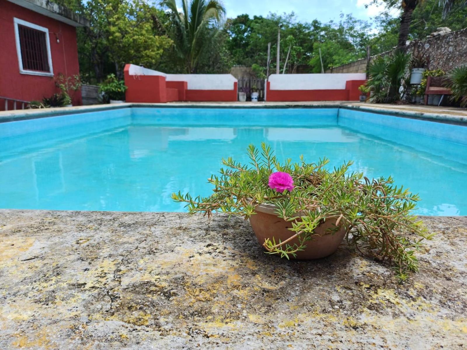 Casona Santa Cruz Palomeque Villa